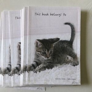 Kitty Cat Book Stickers - Set of 2